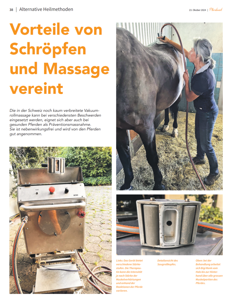 Artikel Pferdewelt Renk